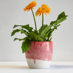 handmade ceramic red planter