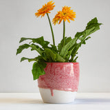 handmade ceramic red planter