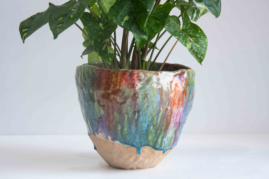 Seconds Sale Handmade Ceramic Petal Planter - Rose Pistachio