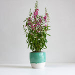 handmade ceramic green planter