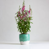 handmade ceramic green planter
