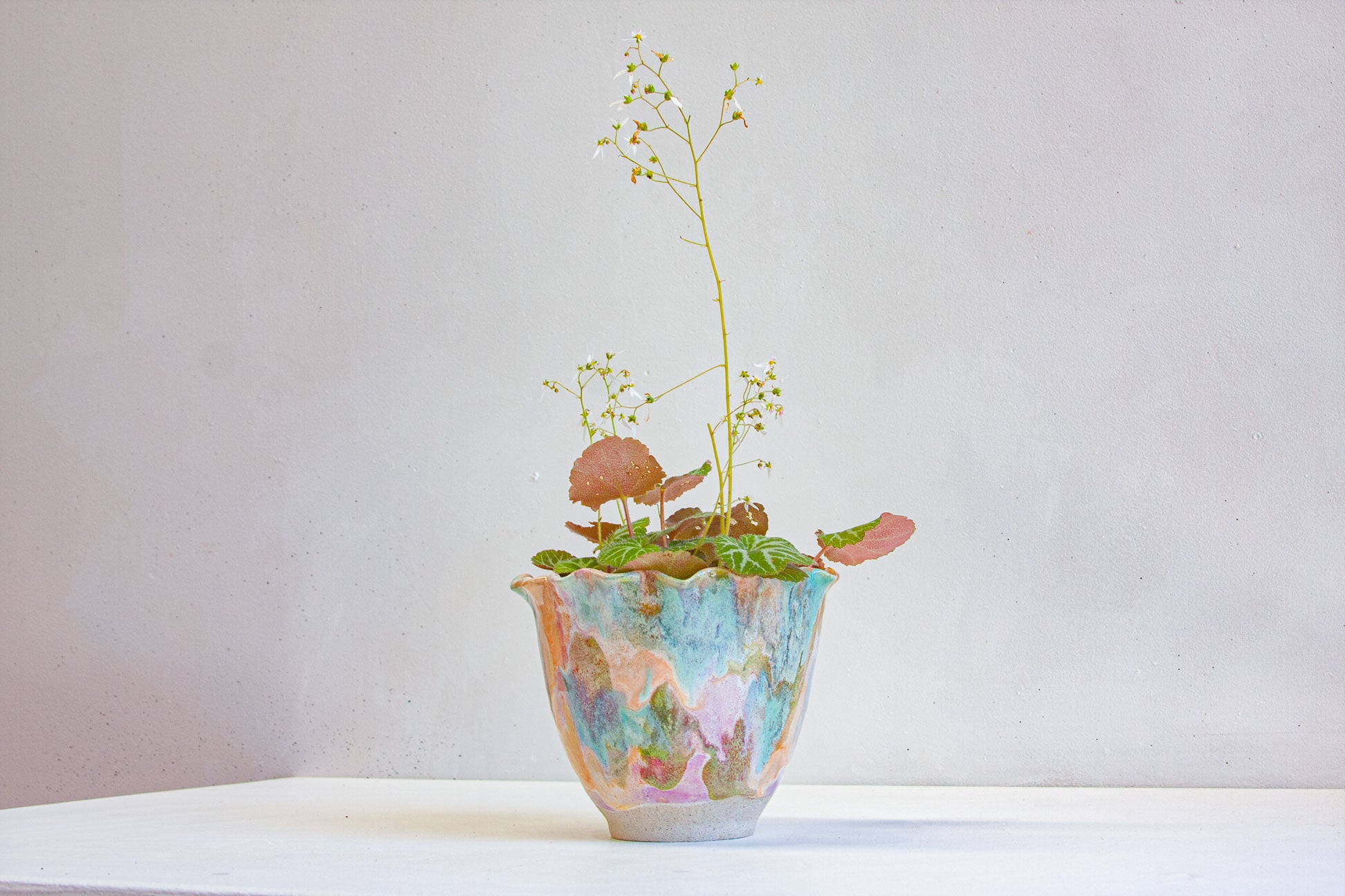 A handmade ceramic frill vessel glazed in purple, green, peach and blue, holding a leafy plant with fine flowering stems, on a pale table.