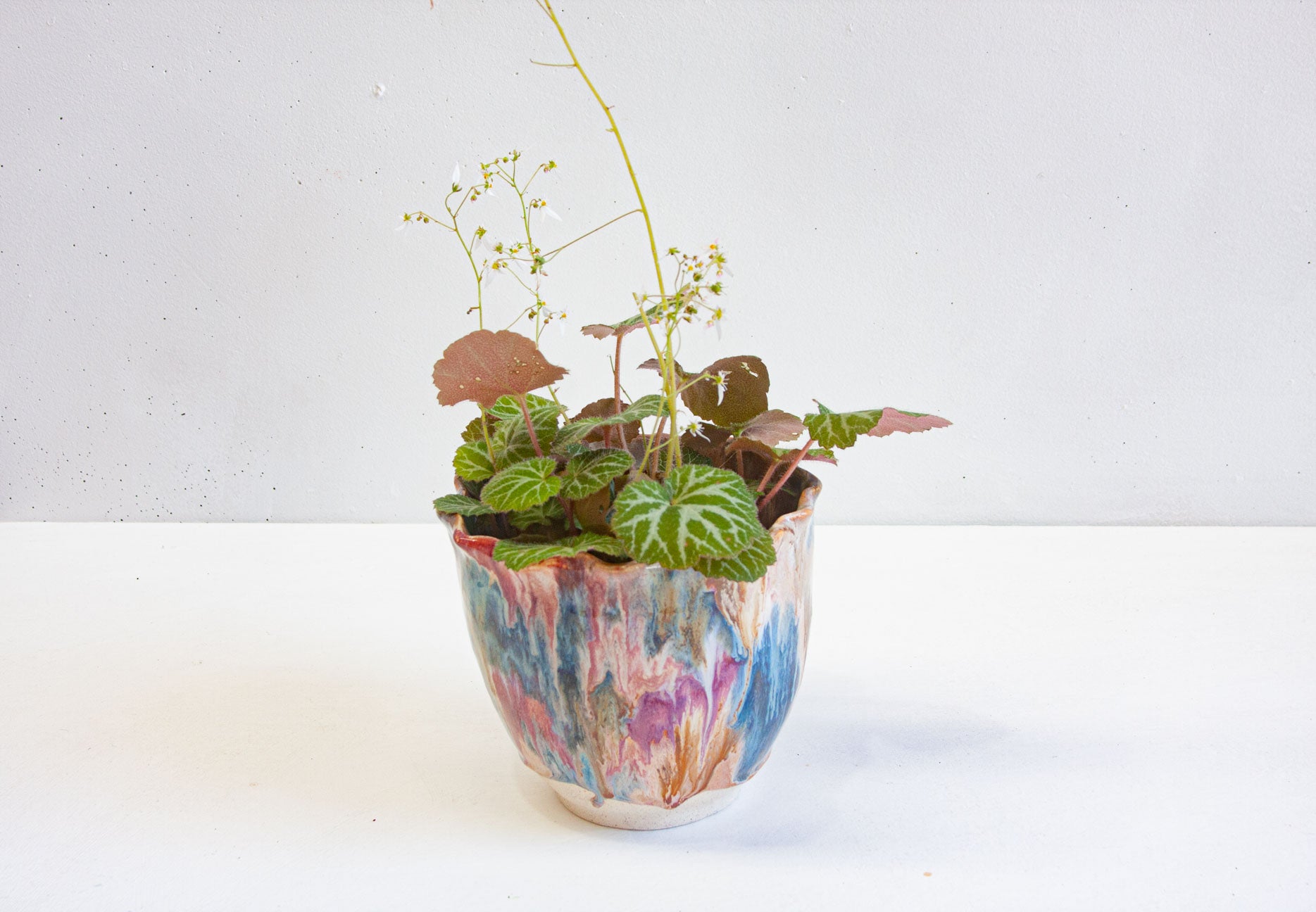A handmade ceramic frill vessel holding a leafy plant, the frilled rim curving around brown, pink and blue glaze.