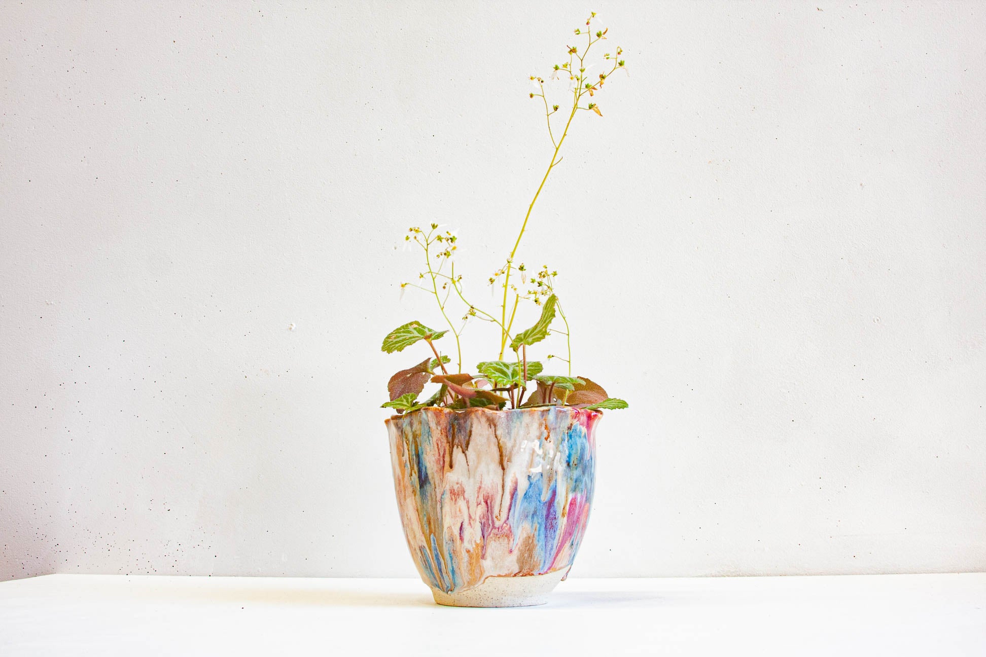 A handmade ceramic frill vessel glazed in brown, pink, blue and white, holding a leafy plant with fine flowering stems, on a bare white clay foot.