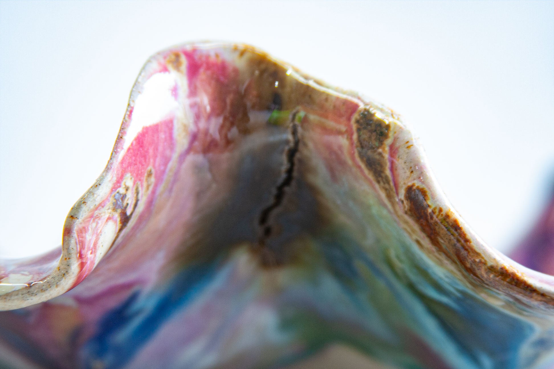 Close-up of a fold in the rim of a handmade ceramic oyster platter showing a crack running down through the glaze, the flaw this piece is sold as seconds for.