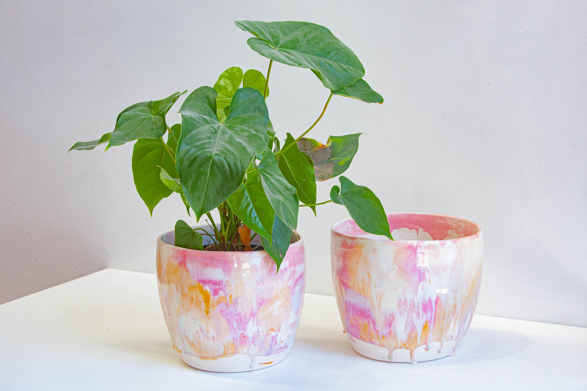 Two handmade ceramic large planters in a pink, cream and peach glaze, the left one holding a leafy green plant.
