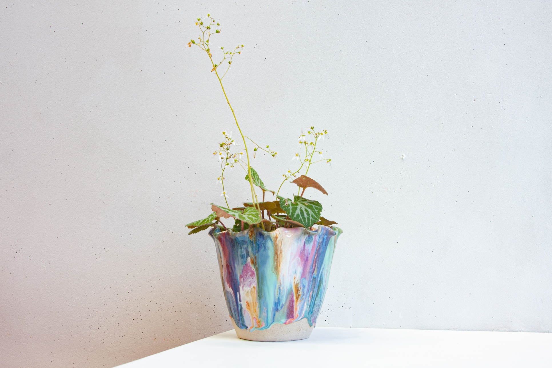 A handmade ceramic frill vessel glazed in blue, teal, purple, pink and orange, holding a leafy plant, standing on a band of bare white clay.