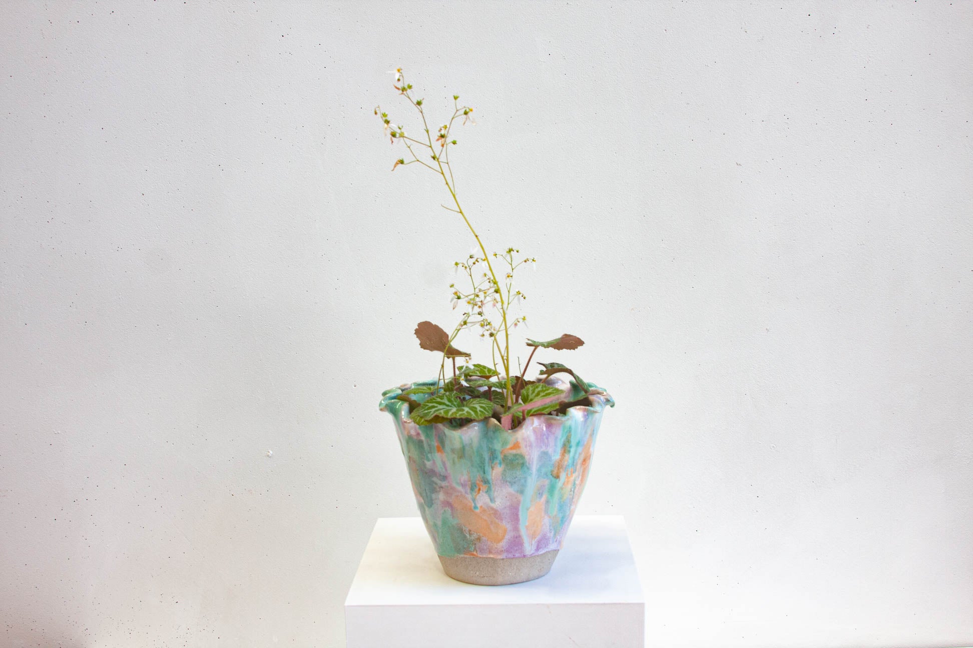 A handmade ceramic frill vessel glazed in pastel purple, peach and green, holding a leafy plant, standing on a band of bare white clay.