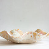 handmade ceramic large oyster shaped soft pink, cream and peach platter