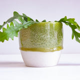 Handmade Ceramic Classic Planter - Moss Green