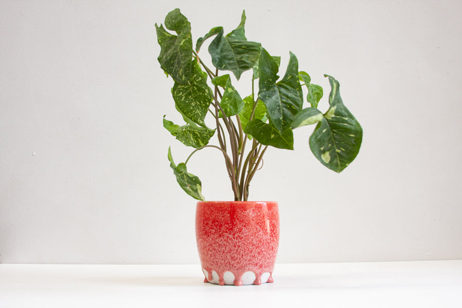 handmade ceramic planter glazed in a drippy red colour