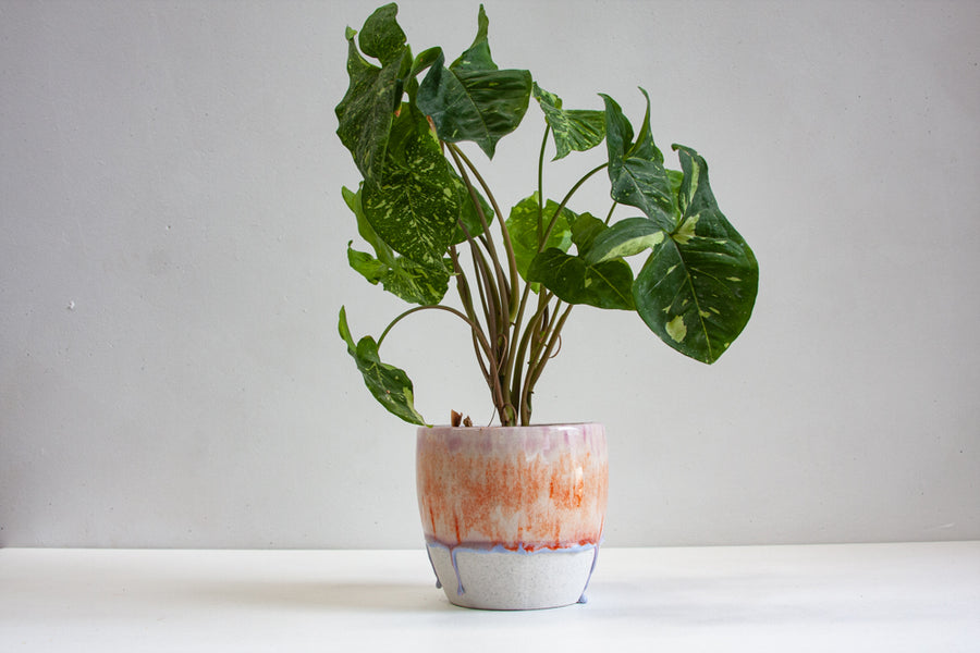 handmade ceramic purple and orange planter
