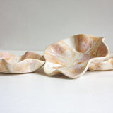 Handmade Ceramic Small Oyster Plate - Marshmallow