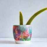 Handmade Ceramic Classic Planter - Bottlebrush