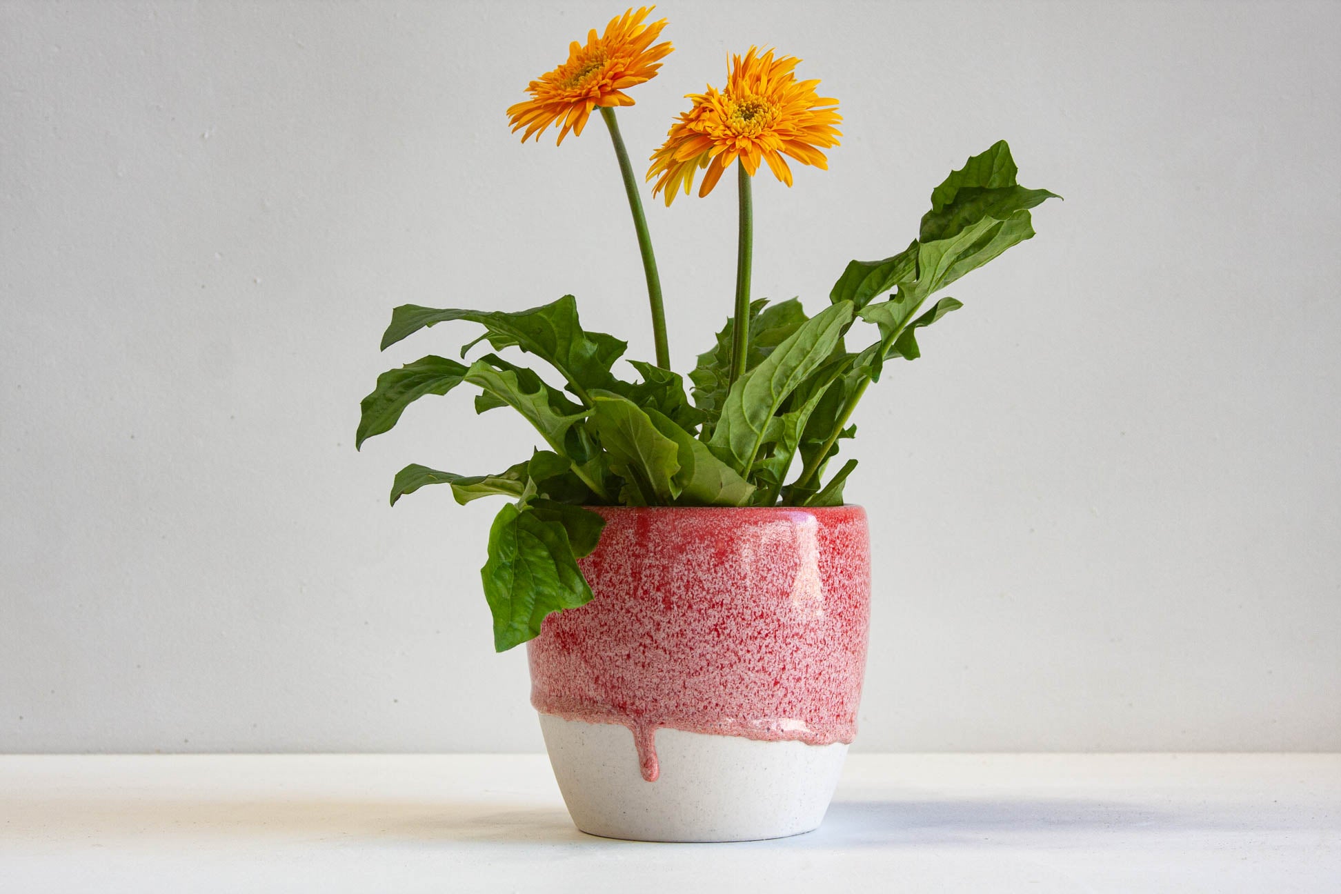 handmade ceramic red planter