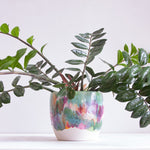 Lifestyle shot of a handmade ceramic large planter with multicolour brushstroke glaze holding a large ZZ plant with arching dark green stems, unglazed white stoneware base