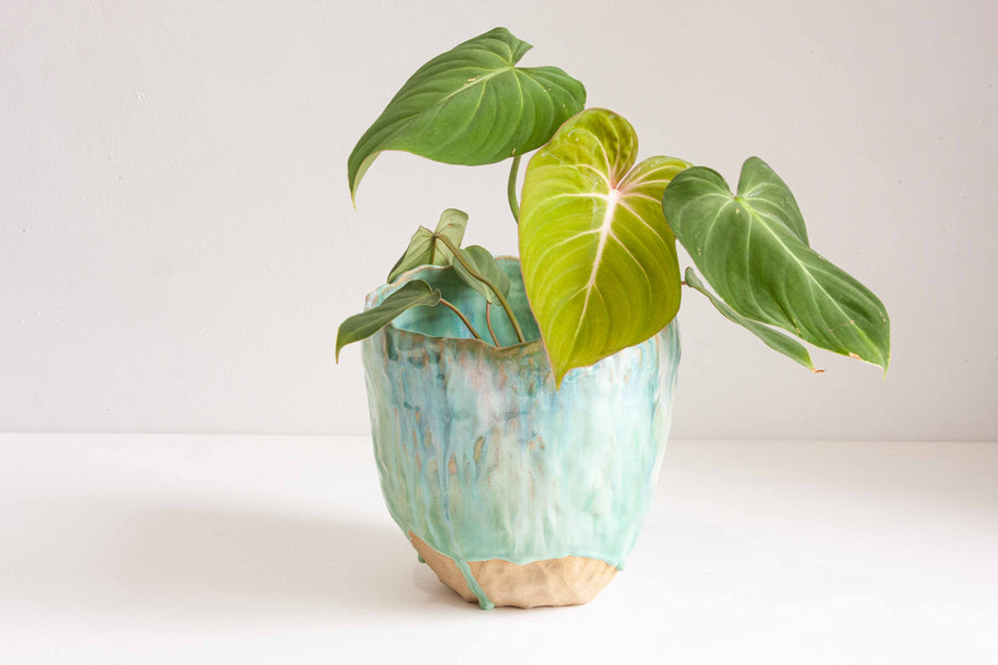 Seconds Sale Handmade Ceramic Petal Planter - Green & Purple