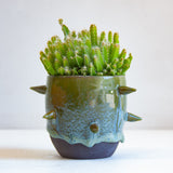handmade ceramic spiked green vessel