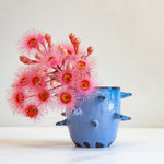 Blue ceramic vase with spiky design holding pink flowers on a white background