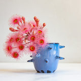 Blue ceramic vase with spiky design holding pink flowers on a white background
