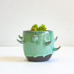 Ceramic cactus-inspired planter with a small succulent on a white background