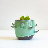 Ceramic cactus-inspired planter with a small succulent on a white background