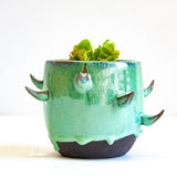 Close-up front view of handmade dark clay spiked vessel planted with a succulent; bright seafoam-teal glaze dripping down to the unglazed dark clay base; curved brown-tipped spikes on the sides.