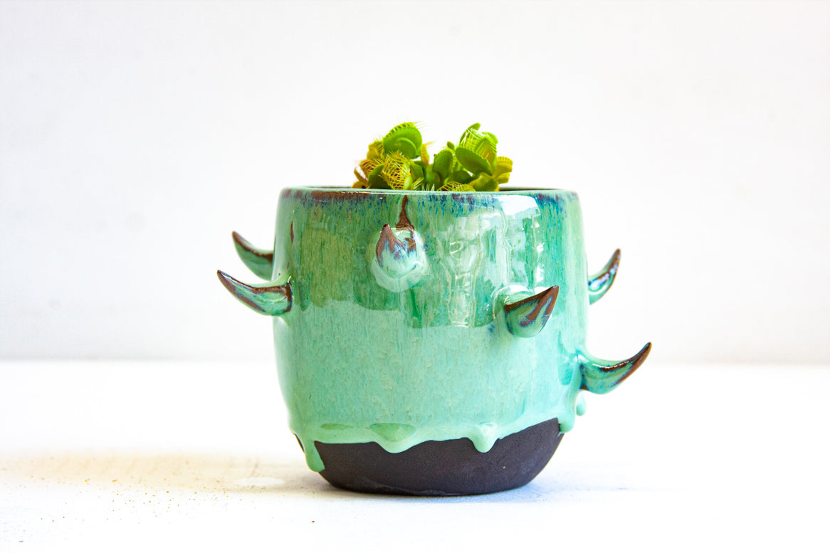 Close-up front view of handmade dark clay spiked vessel planted with a succulent; bright seafoam-teal glaze dripping down to the unglazed dark clay base; curved brown-tipped spikes on the sides.