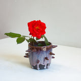 Side view of handmade dark clay spiked vessel holding a red rose; deep plum-burgundy glaze with pale lavender drips running to the dark unglazed base; protruding pointed clay spikes around the cylindrical body.