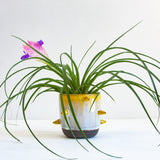 spiked ceramic planter glazed in yellow