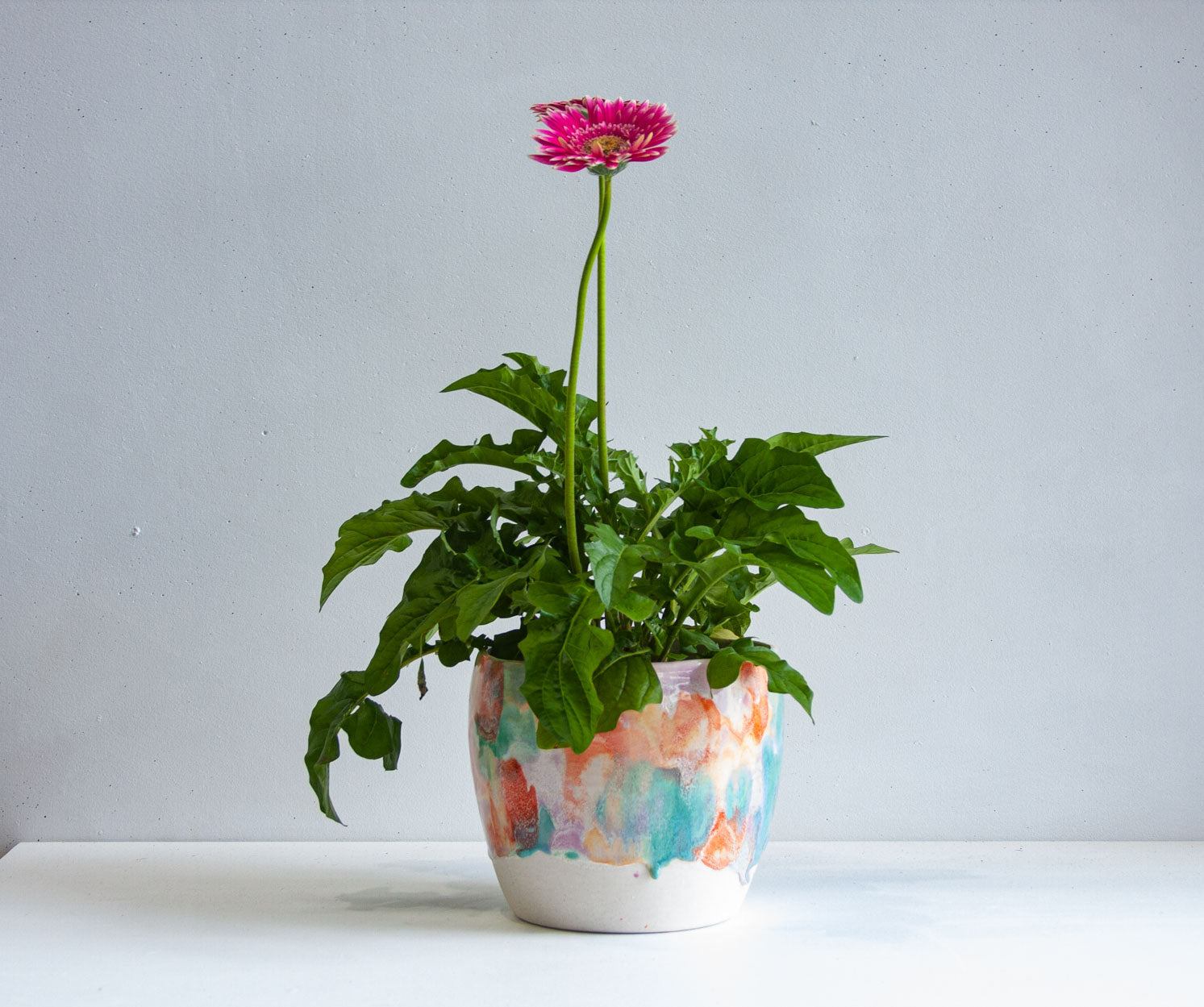 handmade ceramic pastel coloured large planter