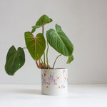 handmade ceramic splattered glaze planter