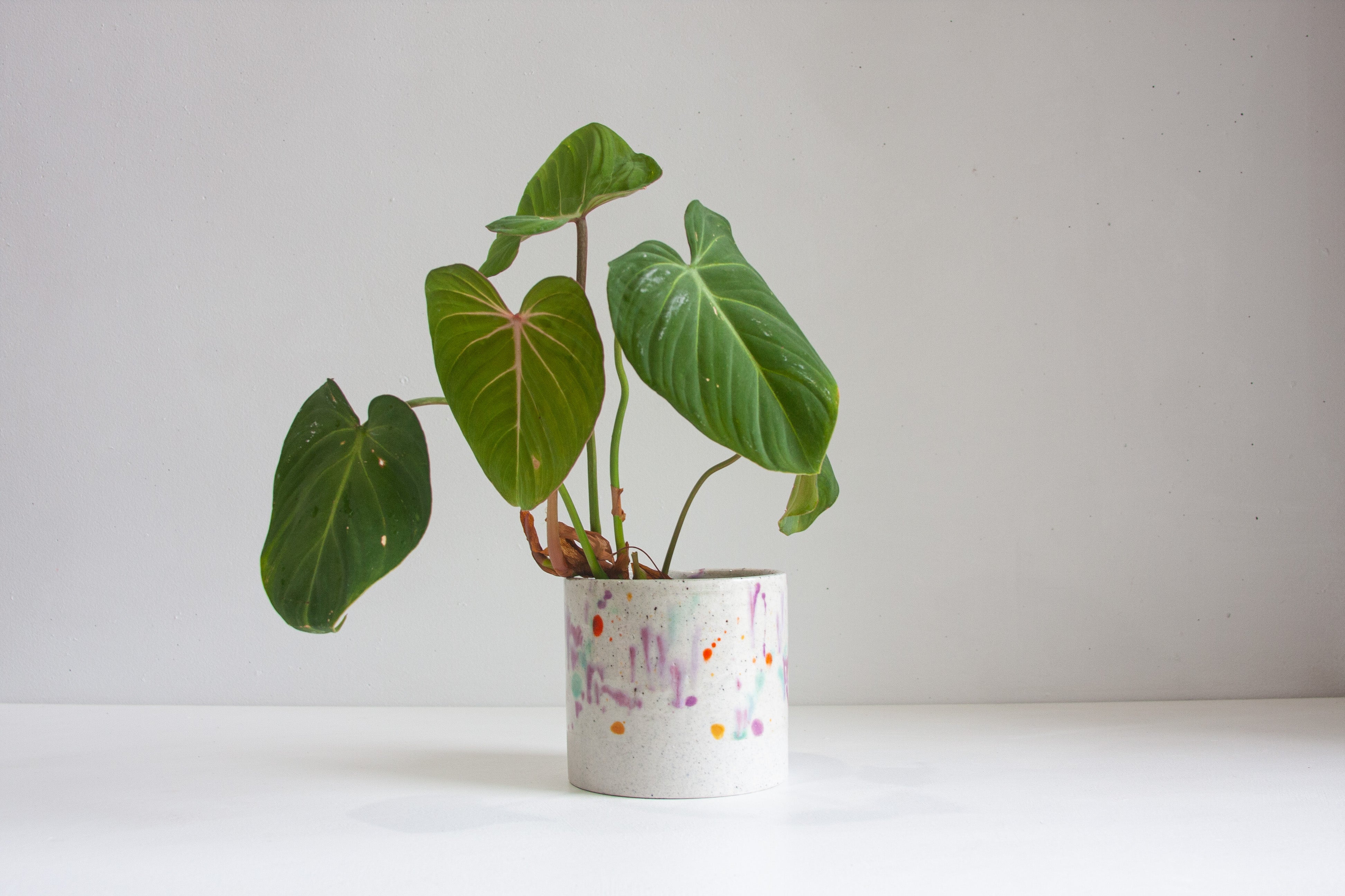 handmade ceramic splattered glaze planter