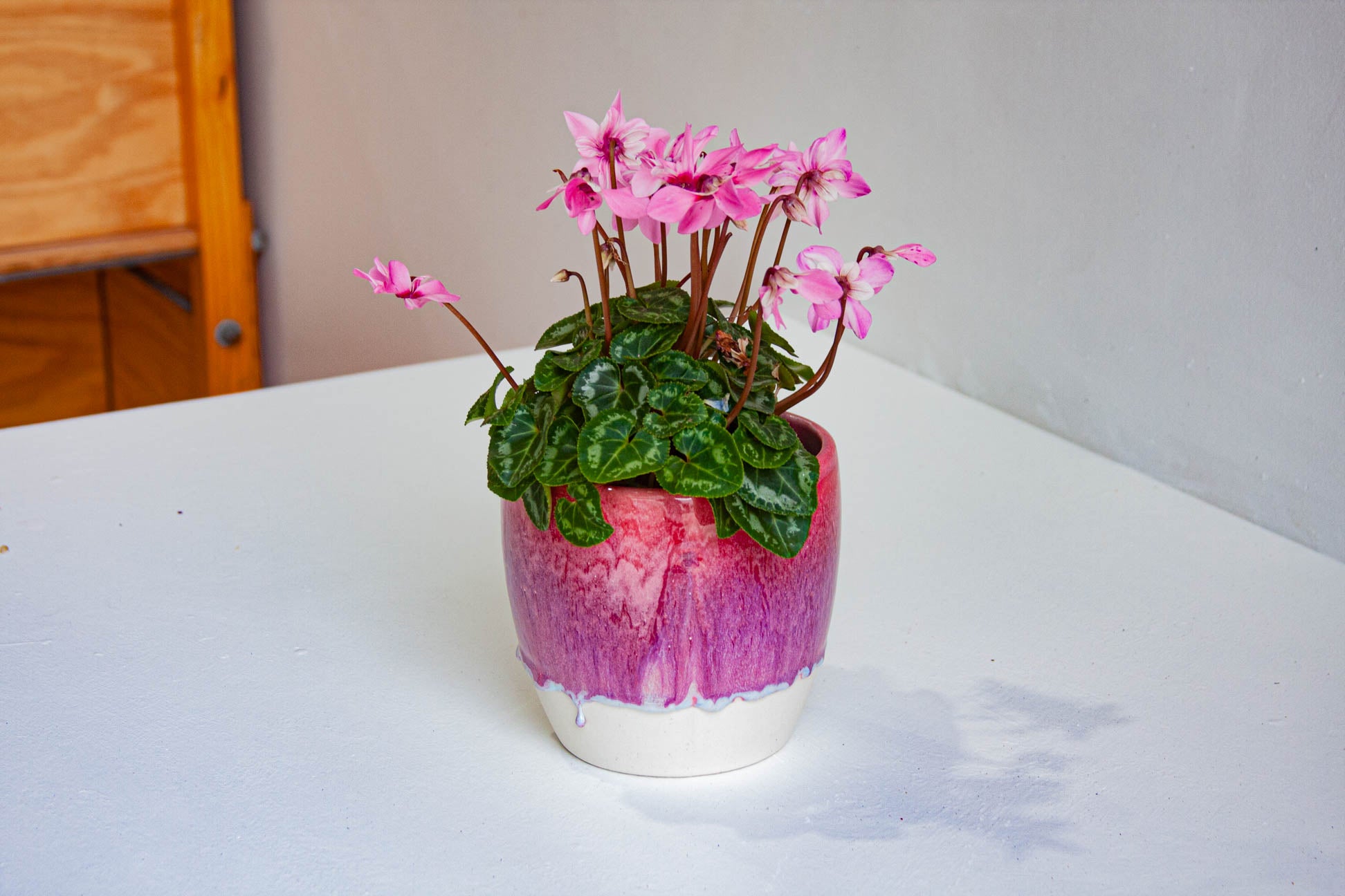 deep pink handmade ceramic planter