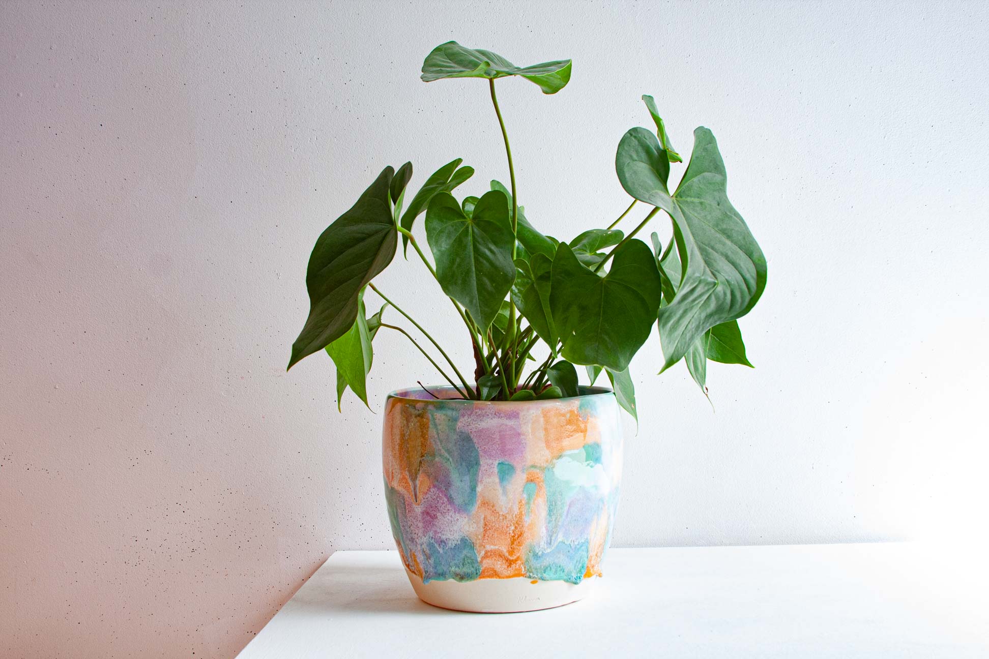 A handmade ceramic planter glazed in pastel purple, peach and green, holding a leafy green houseplant, on a white surface against a plain wall.