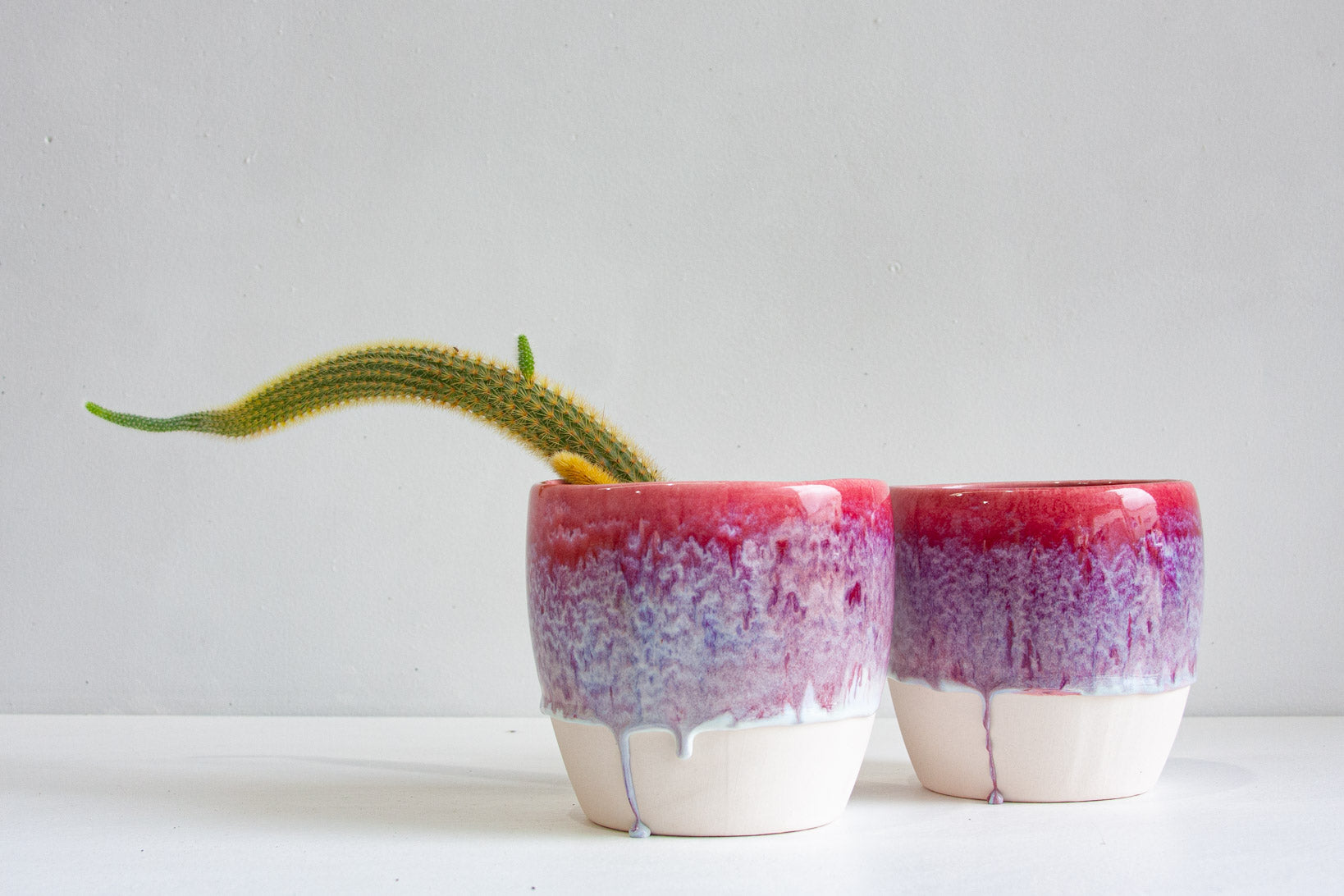 Two handmade ceramic planters side by side in deep pink and speckled lilac glaze over unglazed cream bases, one holding a trailing cactus, against a plain light grey background.