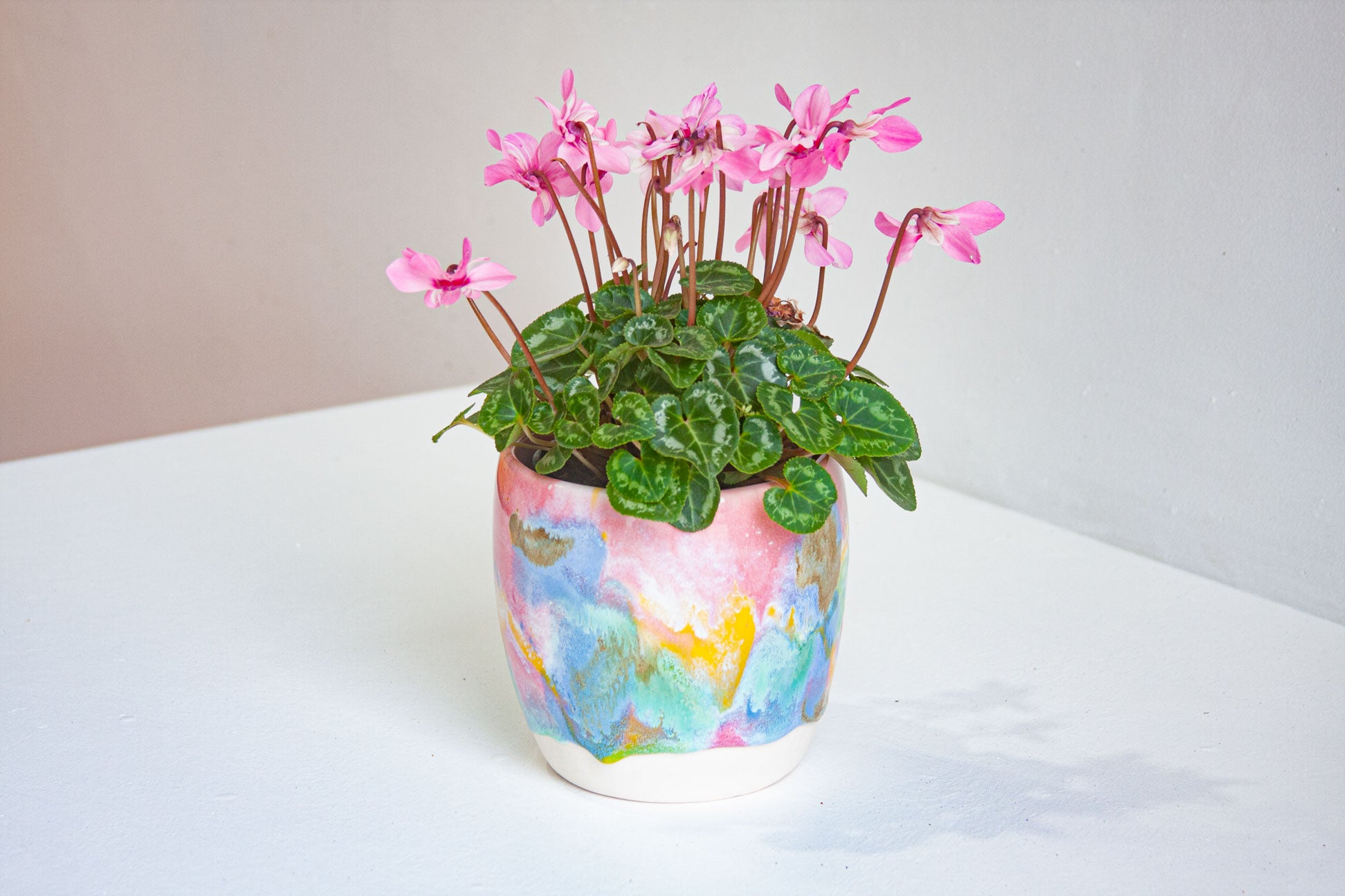 handmade ceramic planter on a table with pink flowering plant