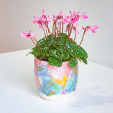 handmade ceramic planter on a table with pink flowering plant