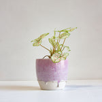 handmade ceramic purple planter