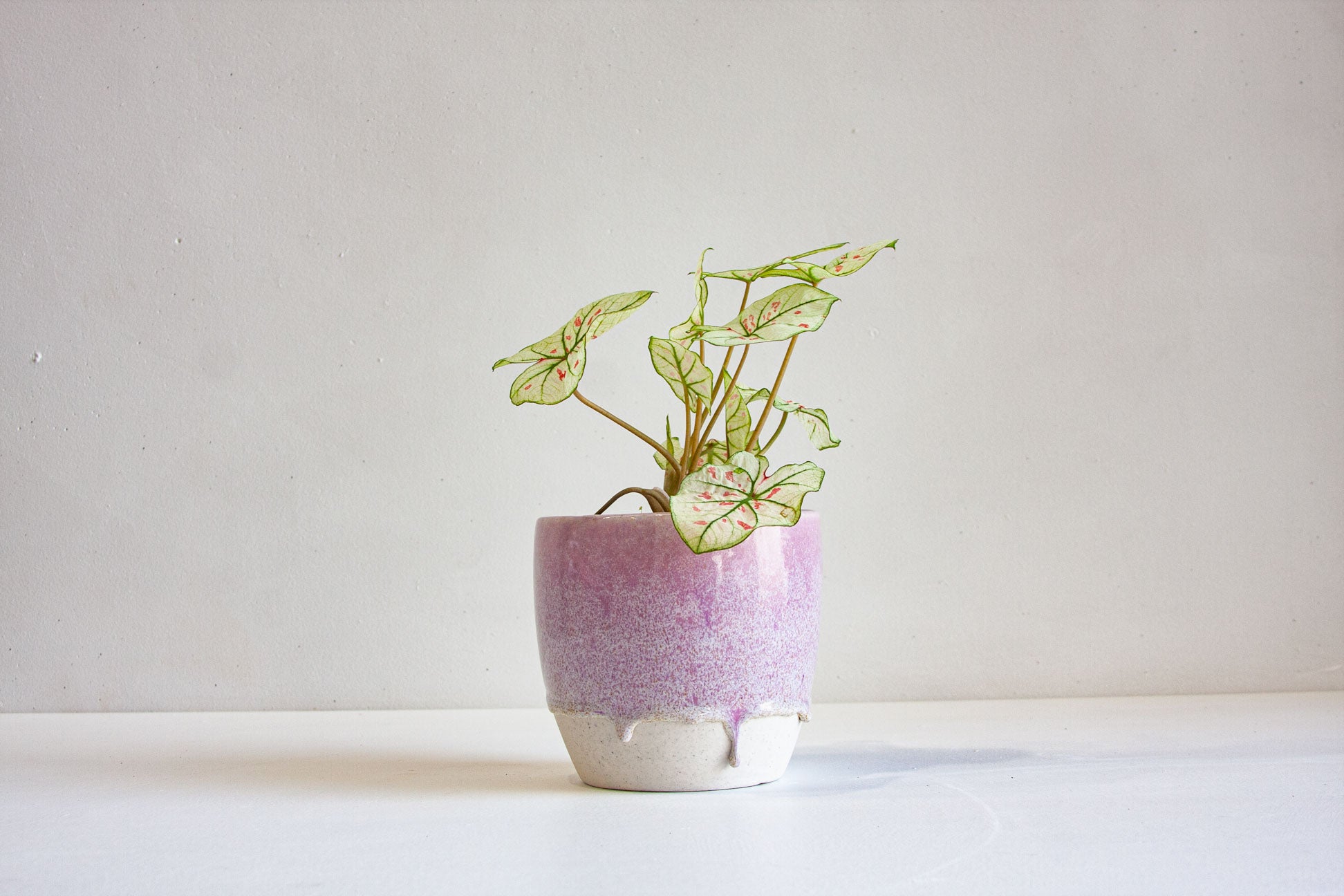 handmade ceramic purple planter