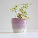 Handmade Ceramic Classic Planter - Lilac
