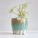 handmade ceramic green and peach planter