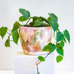 handmade ceramic planter displayed with plant