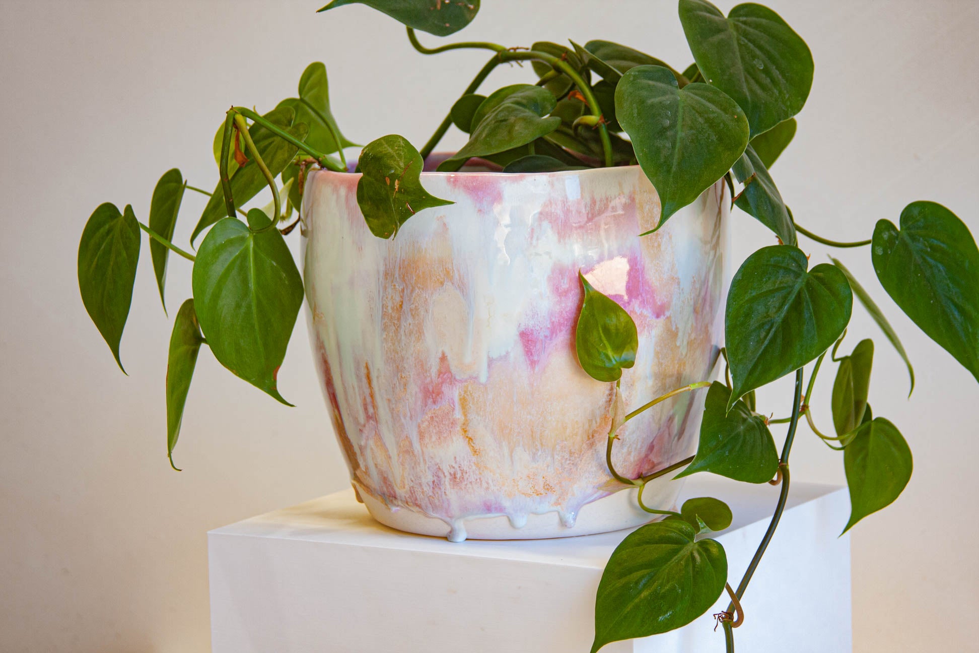 handmade ceramic planter with indoor plant