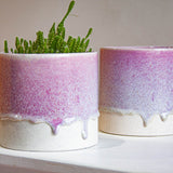 two speckled purple handmade ceramic planters on a table.
