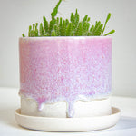 handmade ceramic light purple cylinder shaped planter sitting on a crisp white saucer