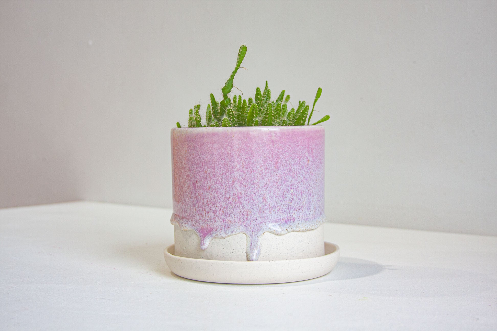 handmade ceramic purple drippy glaze planter with spiky plant.