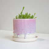 handmade ceramic purple drippy glaze planter with spiky plant.