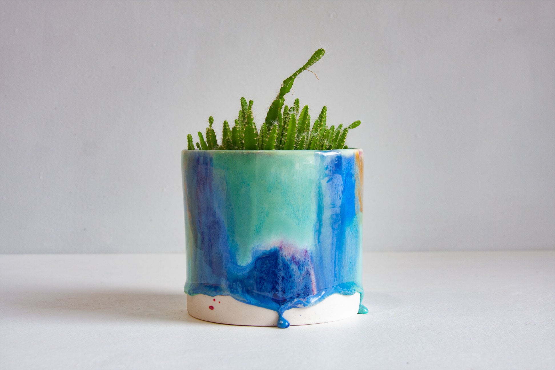 A small green succulent plant in a glazed ceramic pot with a blue, teal, and white drip design, set against a plain light gray background.