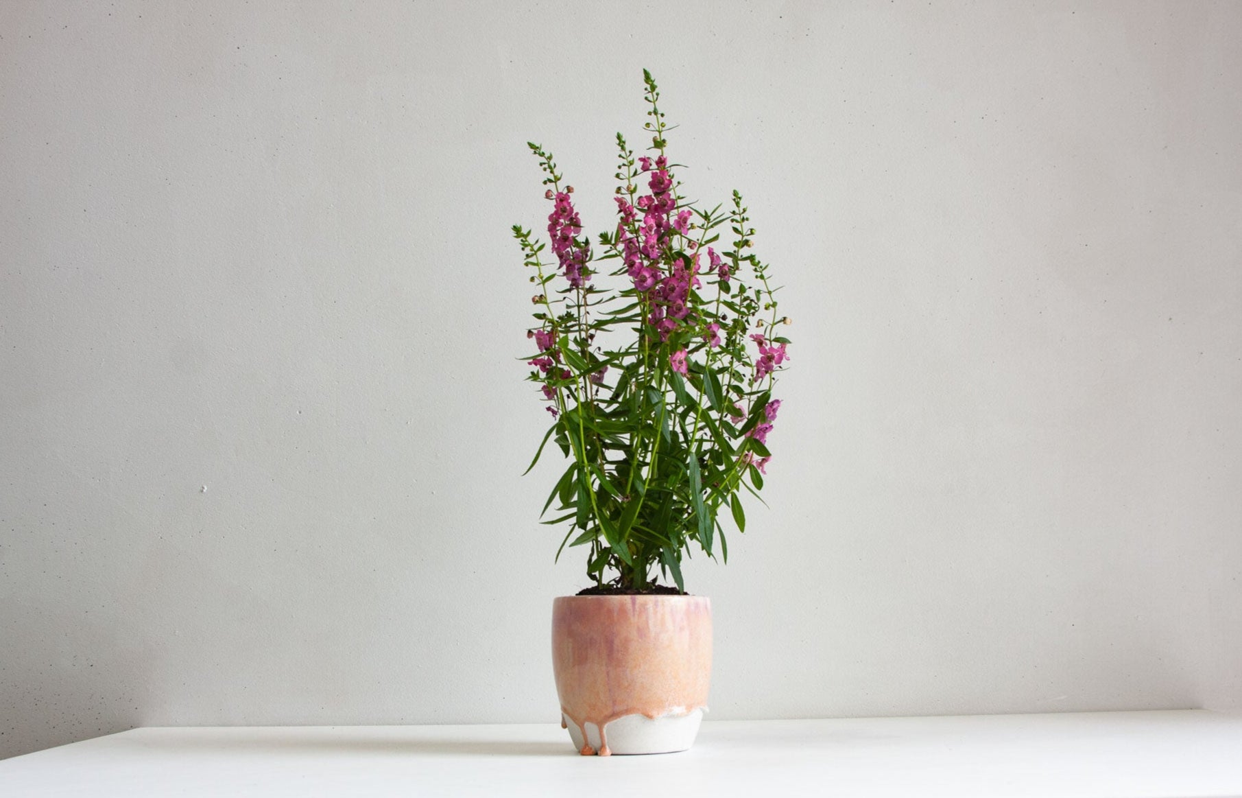 handmade ceramic peach and purple planter